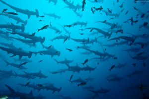 战术博弈！WTA世界排名影响深远，教练组运筹帷幄